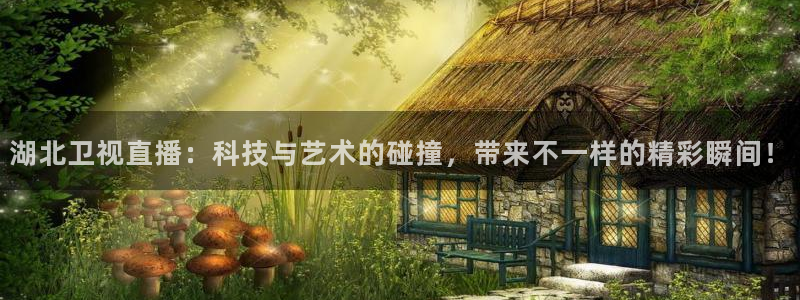 足球直播360雨燕直播：湖北卫视直播：科技与艺术的碰撞，带来不一样的精彩瞬间！