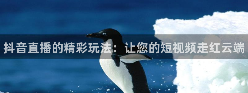 360直播网足球直播网：抖音直播的精彩玩法：让您的短视频走红云端