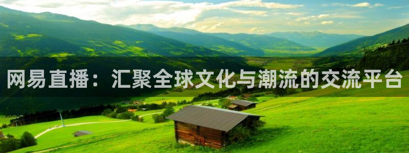新360雨燕直播：网易直播：汇聚全球文化与潮流的交流平台