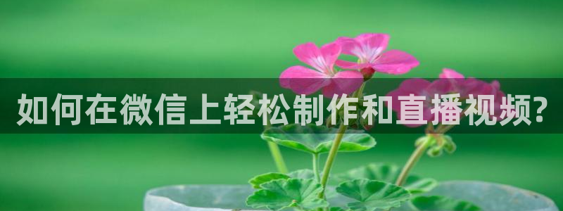 雨燕360体育直播送红红单v3.红单足球.top：如何在微信上轻松制作和直播视频?