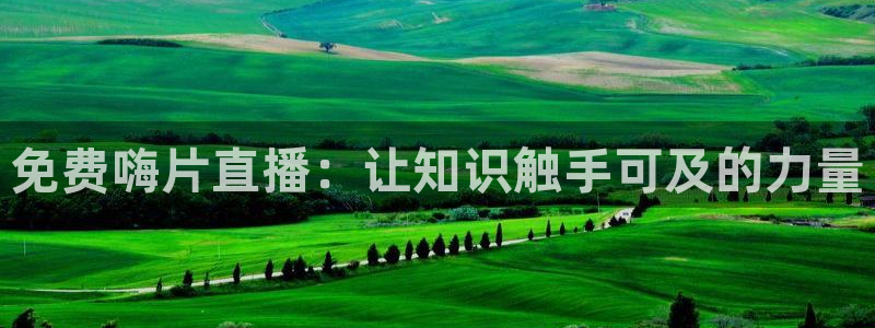 360足球比赛直播网站：免费嗨片直播：让知识触手可及的力量