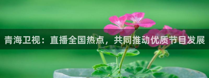 360体育直播nba在线观看：青海卫视：直播全国热点，共同推动优质节目发展
