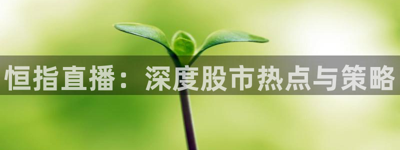360吧体育直播：恒指直播：深度股市热点与策略