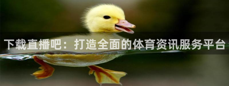 nba直播360高清免费直播：下载直播吧：打造全面的体育资讯服务平台
