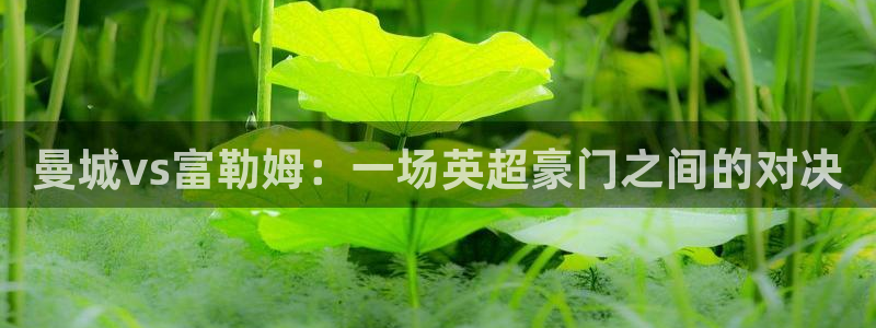 看球宝360足球直播：曼城vs富勒姆：一场英超豪门之间的对决