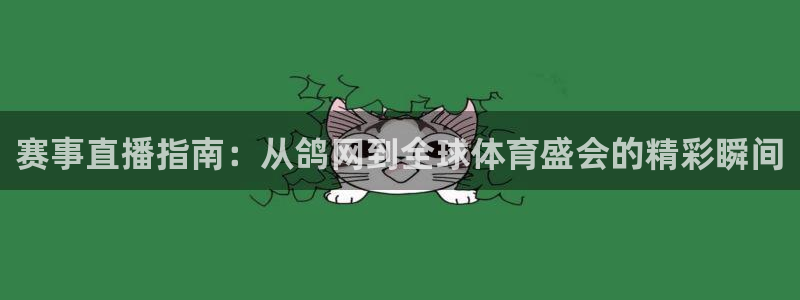 360球赛直播回放：赛事直播指南：从鸽网到全球体育盛会的精彩瞬间