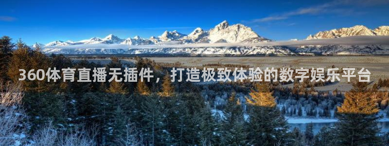 山猫体育360直播平台：360体育直播无插件，打造极致体验的数字娱乐平台