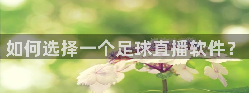 178足球直播360高清直播：如何选择一个足球直播软件？