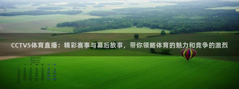 雨燕360足球高清直播