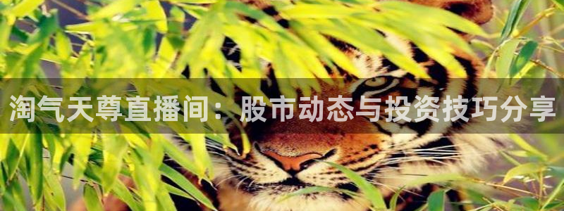 360足球直播雨燕直播