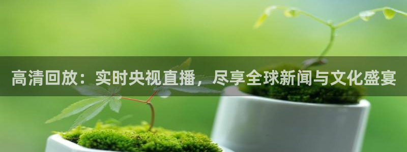 龙珠足球直播360直播