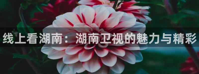 360免费体育直播网：线上看湖南：湖南卫视的魅力与精彩