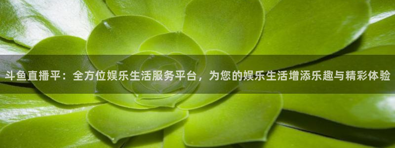 雨燕360体育免费直播 足球：斗鱼直播平：全方位娱乐生活服务平台，为您的娱乐生活增添乐趣与精彩体验