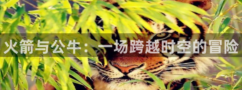 雨燕360体育最新更新内容：火箭与公牛：一场跨越时空的冒险