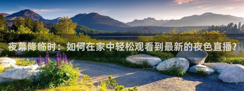 雨燕360直播免费观看nba：夜幕降临时：如何在家中轻松观看到最新的夜色直播?