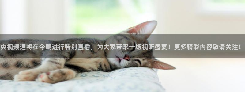 雨燕360体育直播足球罗甲：央视频道将在今晚进行特别直播，为大家带来一场视听盛宴！更多精彩内容敬请关注！
