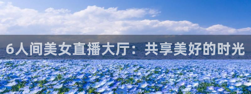 360体育直播免费版在线观看