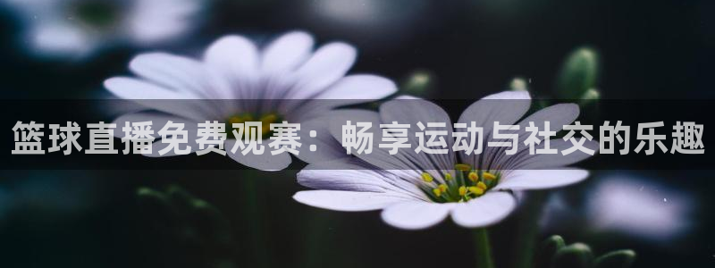 360体育免费直播在线观看